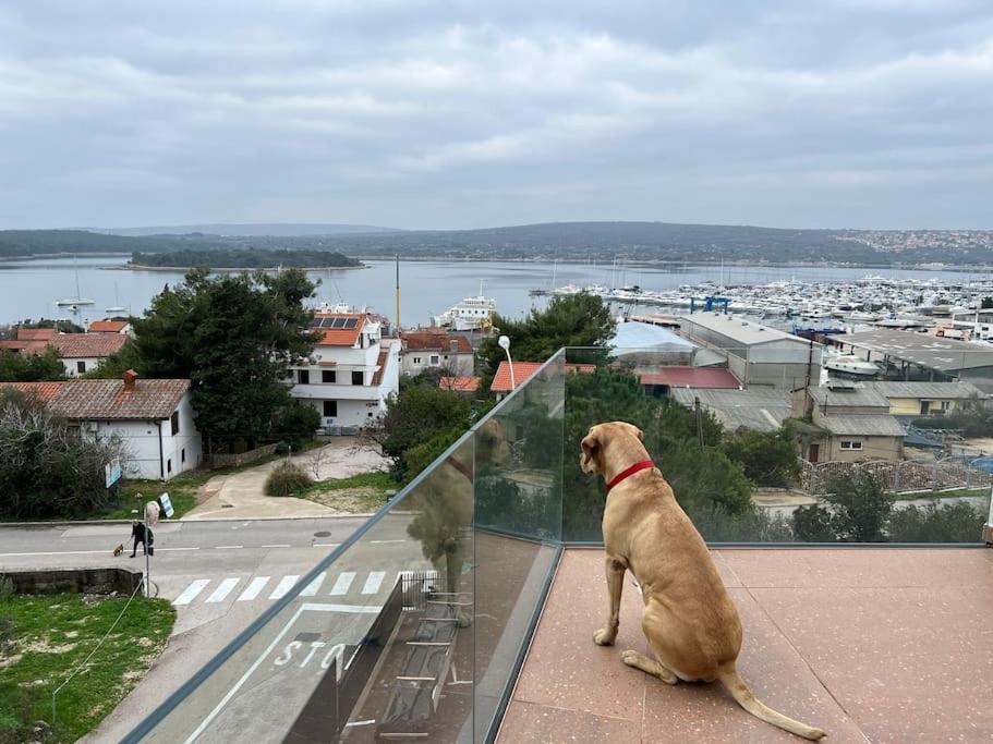 Panorama Penthouse Punat Zewnętrze zdjęcie